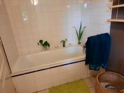 a bathroom with a tub with potted plants in it at Chambre cosy avec piscine in Saint-Benoît