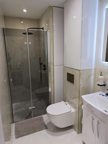 a bathroom with a shower and a toilet and a sink at Blu Apartments -Rynek in Nowa Ruda