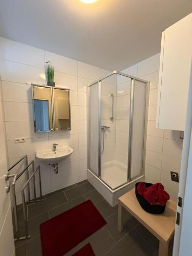 a bathroom with a shower and a sink at Ruhige Wohnung in Linz