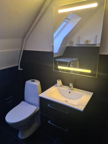 ein Badezimmer mit Toilette, Waschbecken und Spiegel in der Unterkunft Suite 3 in Frederikshavn