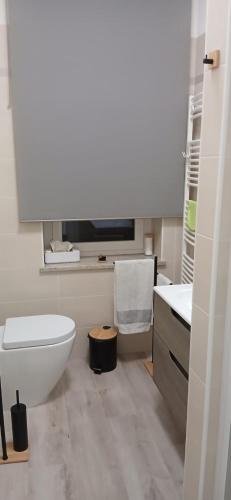 a white bathroom with a toilet and a sink at Meri per sempre in Pontebba