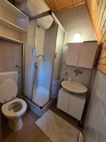 a bathroom with a shower and a toilet and a sink at Cosy Rogla appartment 108 in Zreče