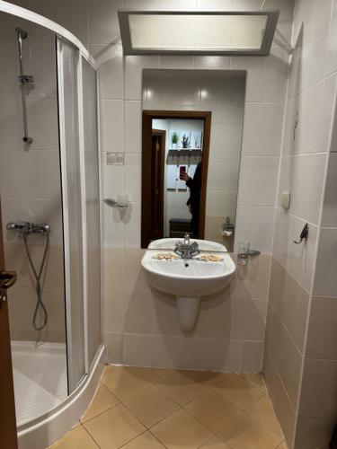 a bathroom with a sink and a shower at Forest Apartment/ Villa Park in Borovets