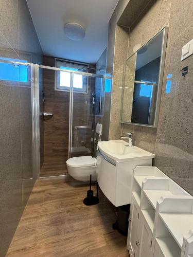 a bathroom with a toilet and a sink and a shower at Marina Penthouse in Punat