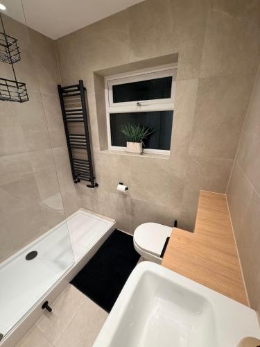 a bathroom with a toilet and a sink and a window at Adrian Cottage in Abbots Langley