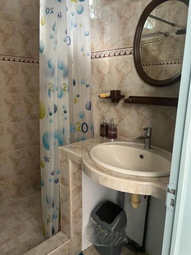 a bathroom with a sink and a shower curtain at TecTec 2 Appartment 1 in Pereybere