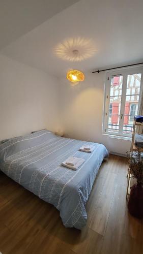 a bedroom with a bed with a blue blanket and a light at L'écrin de Nature T2 Centre Historique in Auxerre