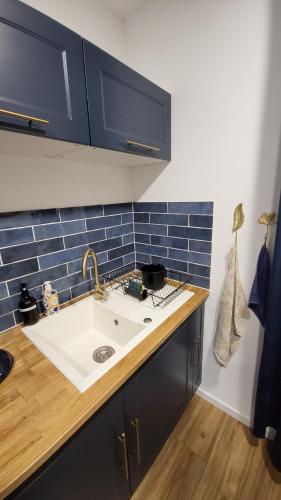 a kitchen with a sink and blue tiles on the wall at L'écrin de Nature T2 Centre Historique in Auxerre