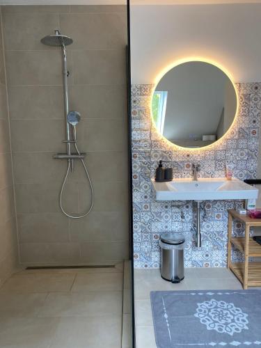 ein Badezimmer mit Dusche, Waschbecken und Spiegel in der Unterkunft Elb Front in Winsen