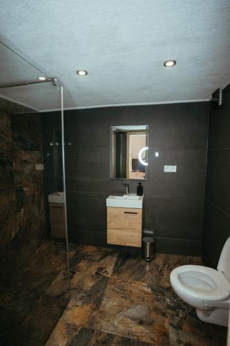 a bathroom with a toilet and a sink and a mirror at Glamping Pod Hradom súkromné jacuzzi a sauna in Bardejov