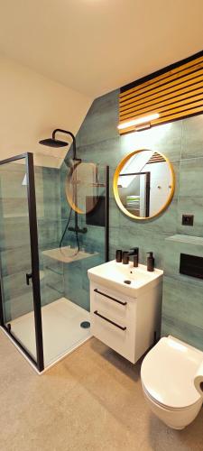 a bathroom with a toilet and a sink and a mirror at Vila U Parku in Jeseník