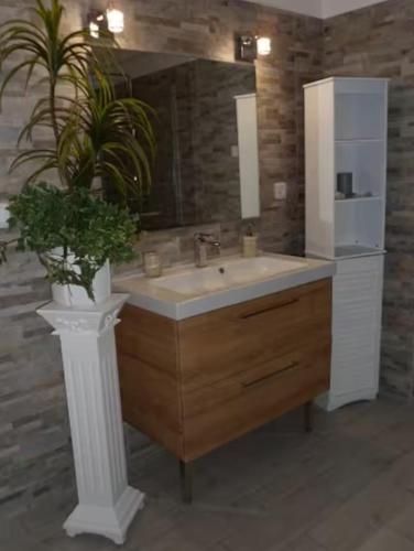 a bathroom with a sink and a potted plant at Appartement Sole e Mare in Furiani
