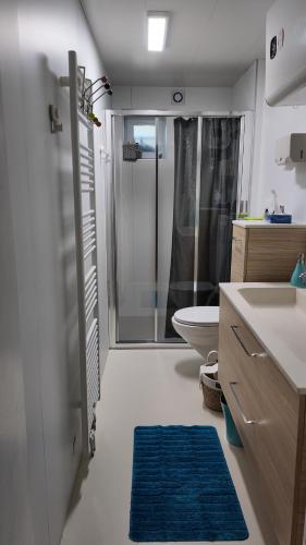 une salle de bain avec douche et tapis bleu dans l'établissement Mon Refuge B&B, à Jougne