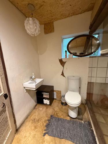 a bathroom with a toilet and a sink at Stormsriver Backpackers Dijembe in Stormsrivier