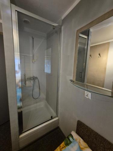 a bathroom with a shower with a glass door at Zajazd pod Lwem in Trzebnica