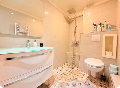 une salle de bains avec toilettes, lavabo et douche dans l'établissement Studio Cosy, à Besançon