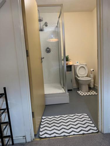 a bathroom with a shower and a toilet and a rug at Casa Centro two bedroom apartment in Wolverhampton