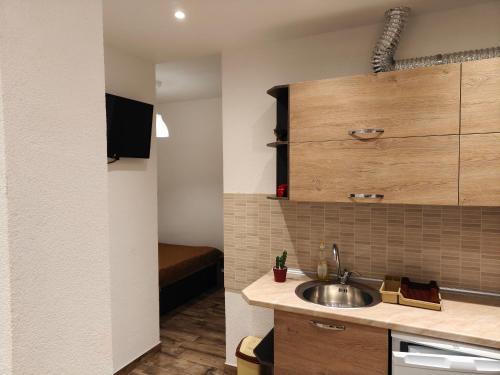 a small kitchen with a sink and a bathroom at vila matejevic in Star Dojran