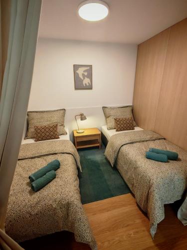 Vilma Old Town Apartment Kosice