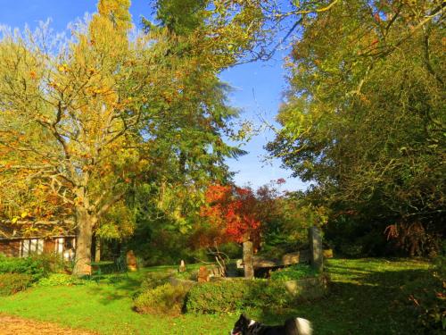 a cemetery in the fall with trees and a blue sky at Le Chant Des Fees in Notre-Dame-de-Courson