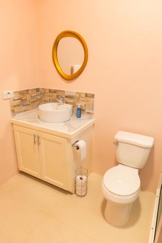 a bathroom with a toilet and a sink and a mirror at Nook Apartments in Grenville