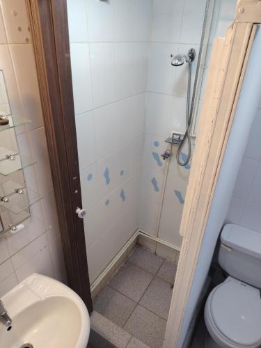 a bathroom with a shower and a toilet and a sink at Casa de alojados in Antofagasta