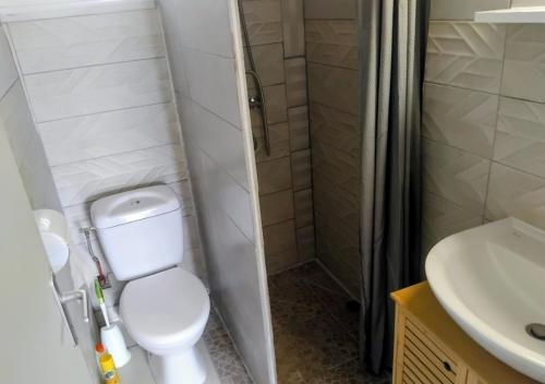a bathroom with a toilet and a shower and a sink at T3 climatisé avec terrasse proche plages in Rivière-Pilote