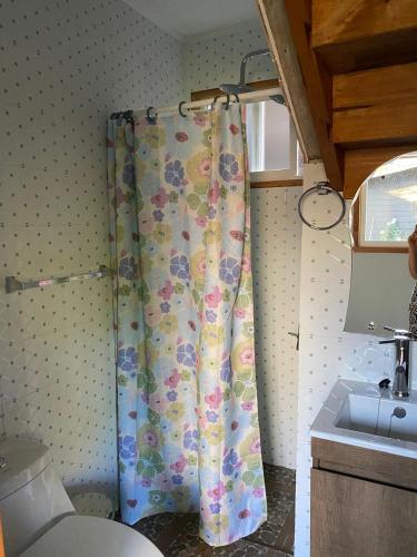 חדר רחצה ב-Hostal Tour Pucon