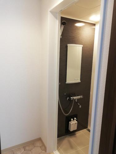 a bathroom with a sink and a mirror at Goryokaku rental house SAKURA in Hakodate