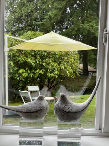 a window with two chairs and an umbrella at Almost Home in West Vancouver