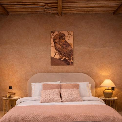Desert Wonders Luxury Camp