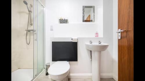 a bathroom with a toilet and a sink and a shower at ApartmentA in Derry Londonderry