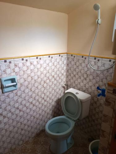 a bathroom with a blue toilet and a shower at RD's Apartment in Eyeb, Poblacion, Bontoc in Bontoc