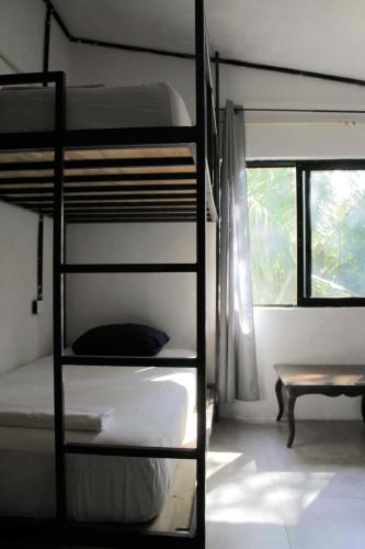 a room with two bunk beds and a window at Mantra Homestay in Bacalar