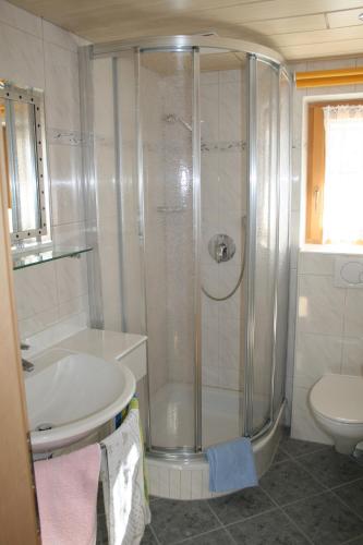 a bathroom with a shower and a sink and a toilet at Landhaus Erlzette in Tux