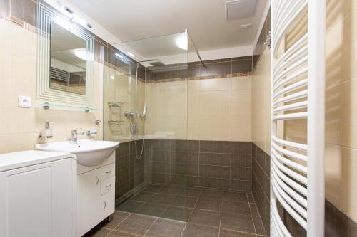a bathroom with a sink and a shower at Chalupa u Bruna in Ruprechtice
