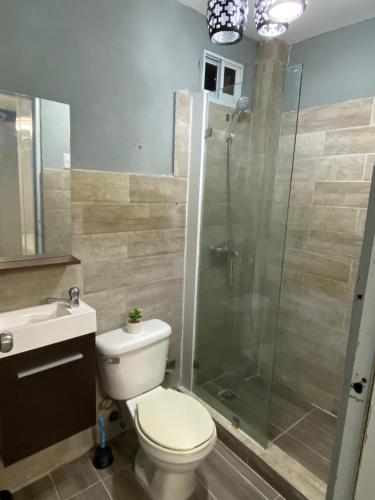 a bathroom with a toilet and a glass shower at Luxury and beautiful studio private jacuzzi in Santo Domingo