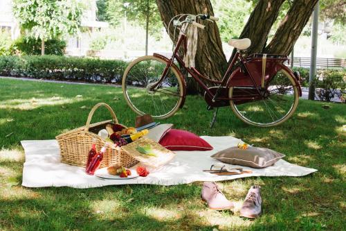 a picnic in the park with a bike parked next to a tree at Chester Hotel Heidelberg in Heidelberg