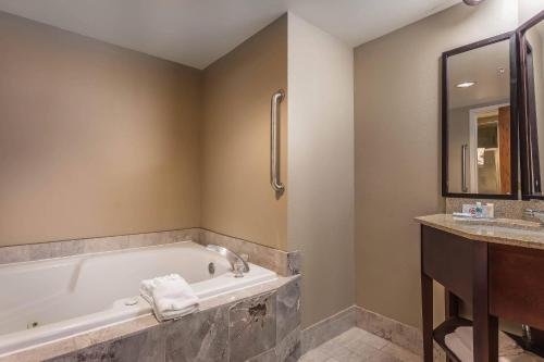 a bathroom with a tub and a sink at Comfort Inn SW Omaha I-80 in Omaha