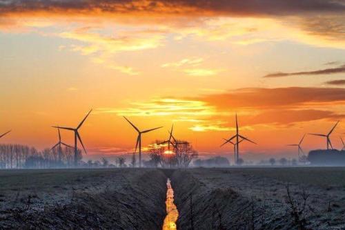 a group of windmills in a field at sunset at Fourwinds B&B in March