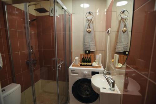 a bathroom with a shower and a sink and a toilet at M&S Central Residence in Bitola