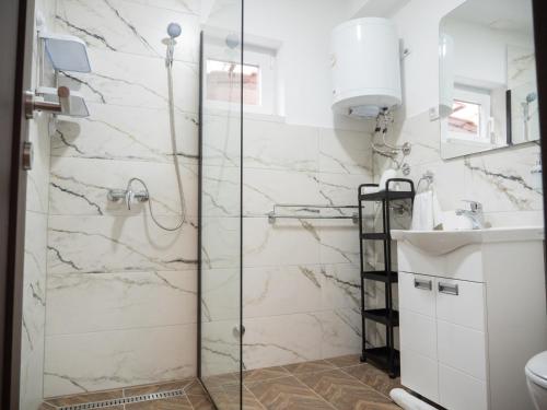 a bathroom with a shower and a sink at Megdan prenočište in Požarevac