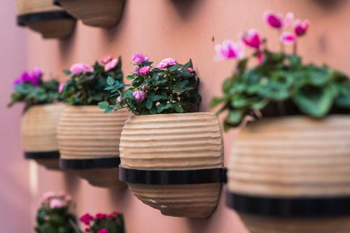 a group of flower pots hanging on a wall at Sperveri Boutique Hotel in Rhodes Town