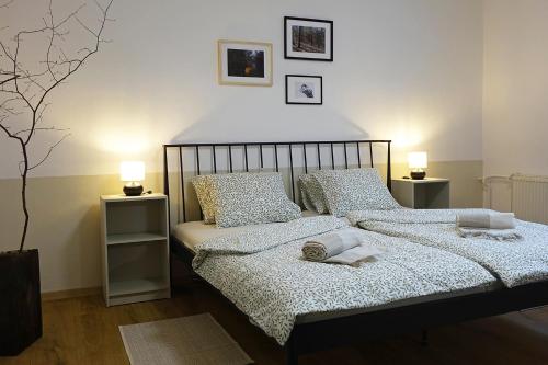 a bedroom with two beds with pillows and two lamps at Chalupa Kdovíkde in Budyně nad Ohří