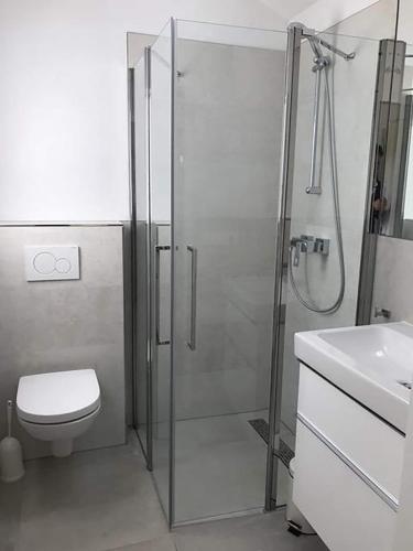 a bathroom with a shower and a toilet and a sink at Spacious 6p vacation home with garden in Zoutelande