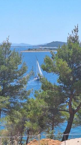 a sail boat in the water with trees at Mobile home Clara in Drage