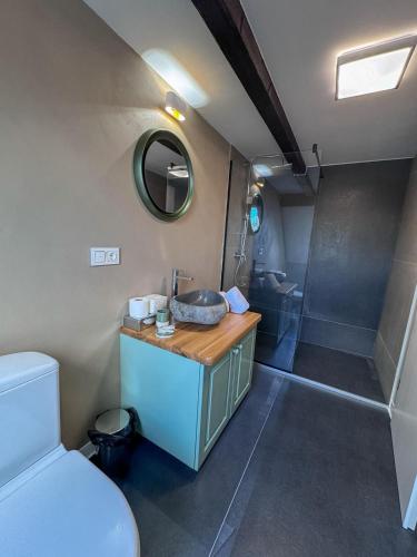a bathroom with a toilet and a sink and a shower at Pensiunea 7 Tei in Cisnădioara