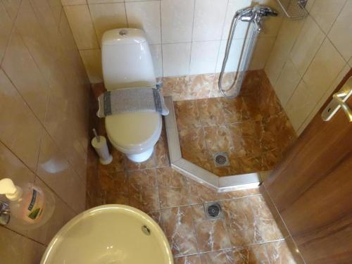 a bathroom with a toilet and a shower at Villas Gemeli in Ammouliani