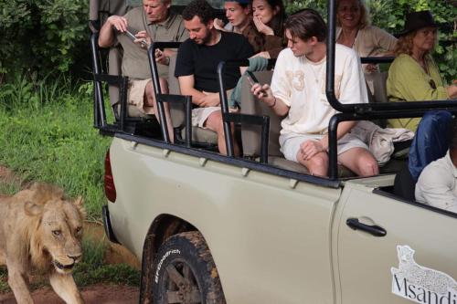 a group of people sitting in the back of a vehicle with a lion at Msandile River Lodge in Kakumbi