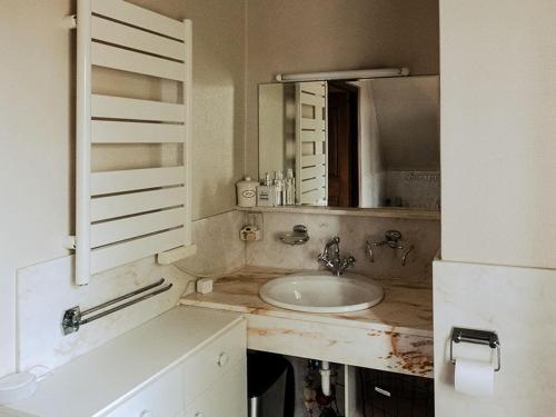 a bathroom with a sink and a mirror at Rozerie BV in Waregem